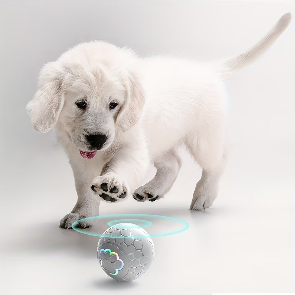 Smart Rechargeable Dog Toy Ball – Automatic Bouncing Interactive Pet Toy