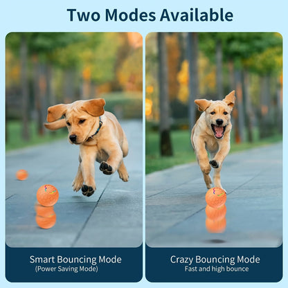 Smart Rechargeable Dog Toy Ball – Automatic Bouncing Interactive Pet Toy